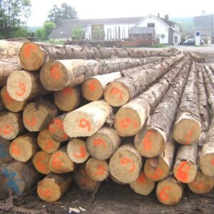 Gemischtes Hartholz-Stammholz – LKW-Lieferung – PEFC-zertifiziert — Produktbild aus dem Sortiment Stammholz