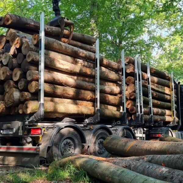 Nadelholz-Stammholz – Komplette LKW-Ladung 50 Raummeter – PEFC-zertifiziert — Produktbild aus dem Sortiment Stammholz